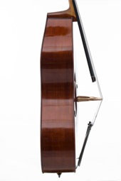 Guitar Bass Model 2015
