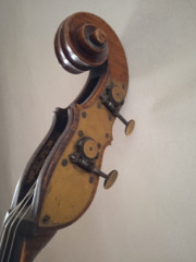 Viennese doublebass, 19th century