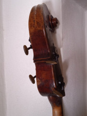 Viennese doublebass, 19th century